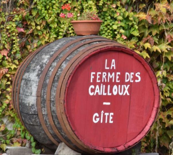 Sassay La Ferme Des Cailloux 빌라 외부 사진